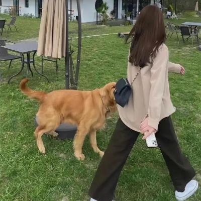 冒险三人组
